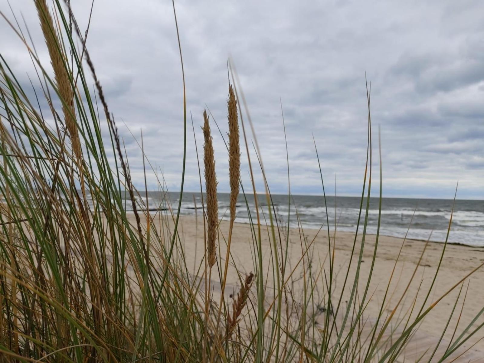 Ostsee Ferienhaus Usedom Hundefreundlich Familie Stopp Haus 22 Lutow Extérieur photo